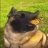 Dmitry_Gromov